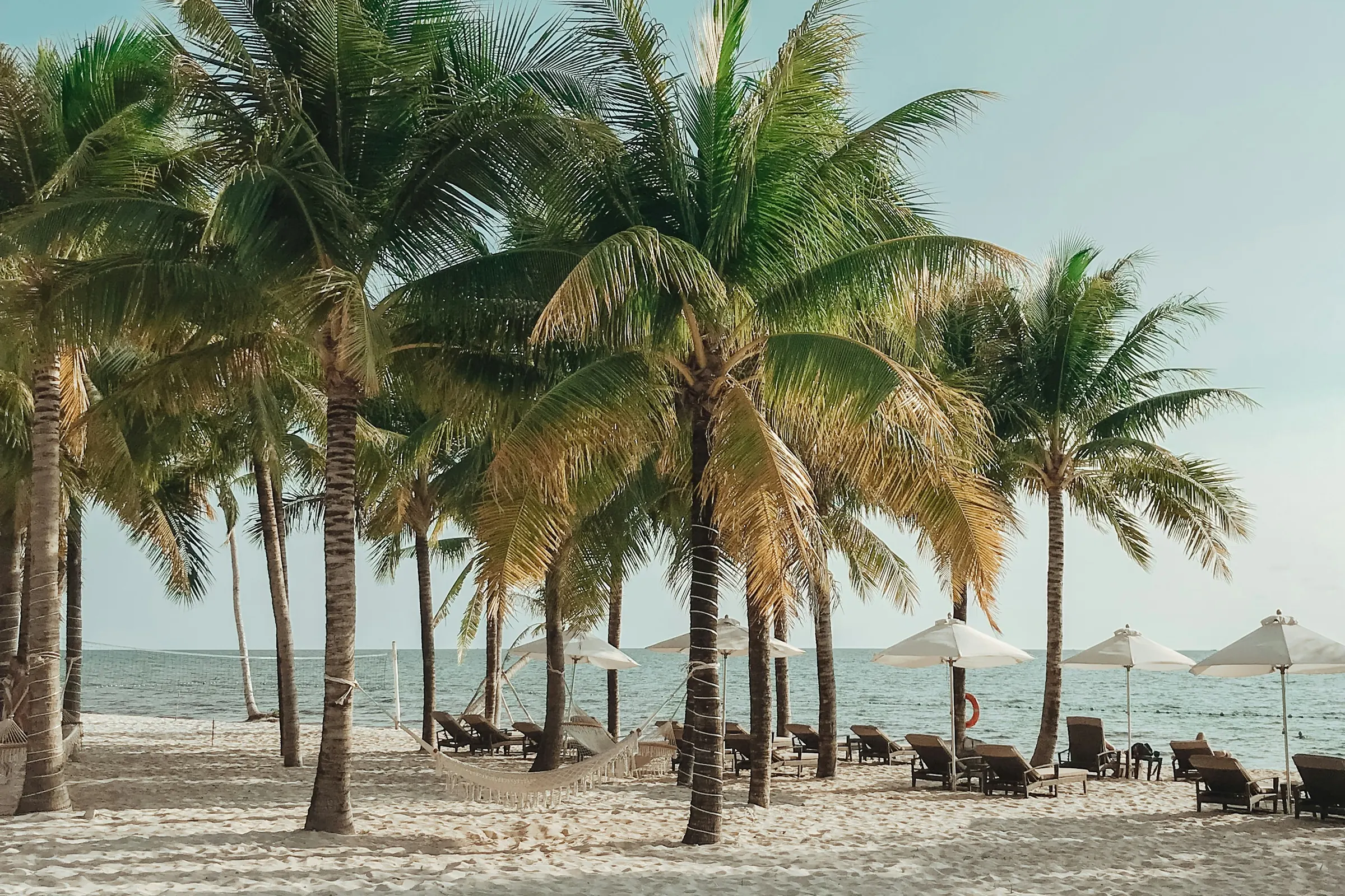 Kokospalmer ved Long Beach på Phu Quoc