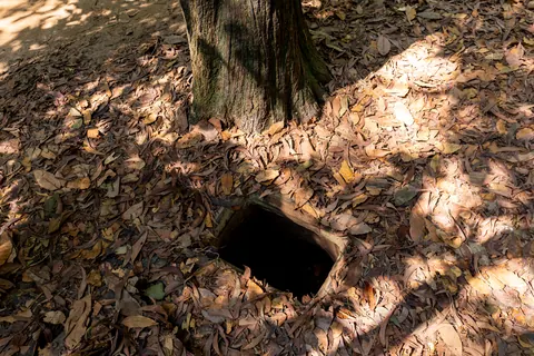 En smal indgang til Cu Chi-tunnelerne under et træ i skovbunden